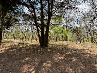 Venta de Terrenos en Condominio Casa & Campo - 4