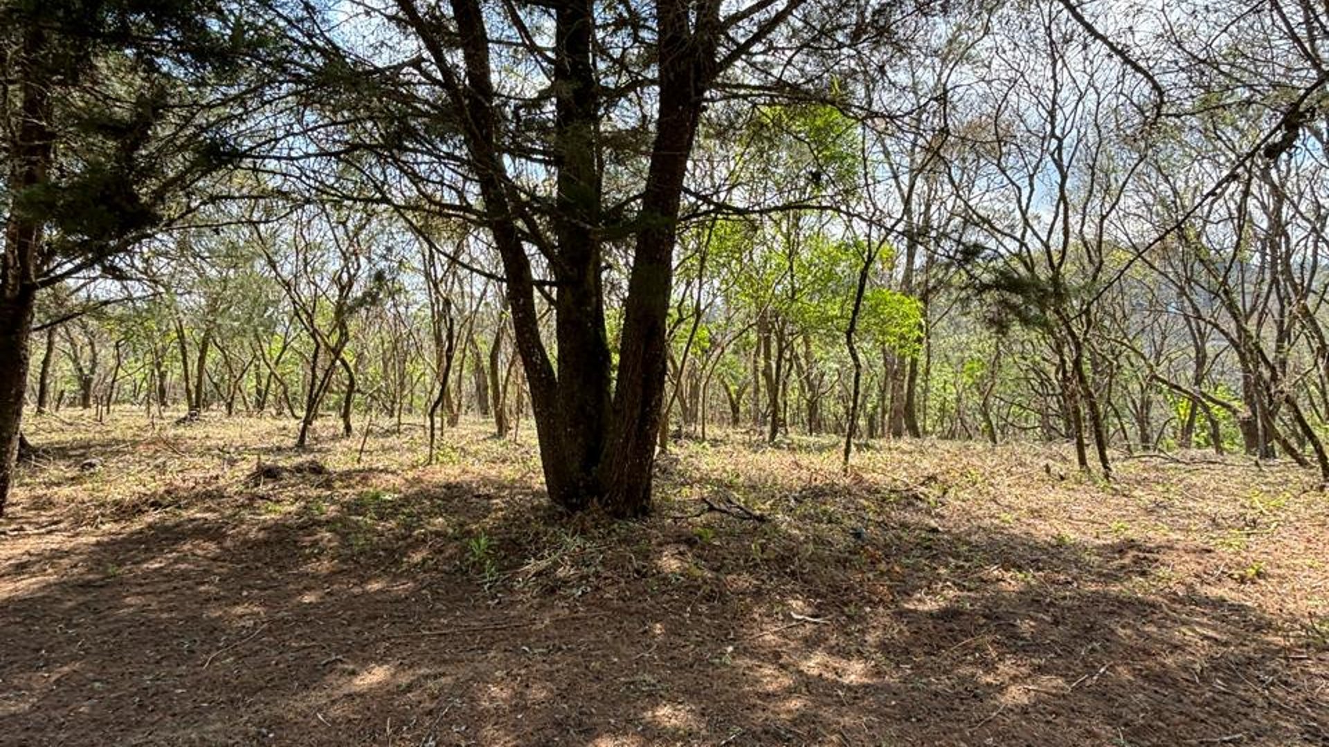 Venta de Terrenos en Condominio Casa & Campo - Miniatura 4