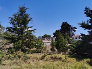Vendo Terreno en Bosques del Eden - 3