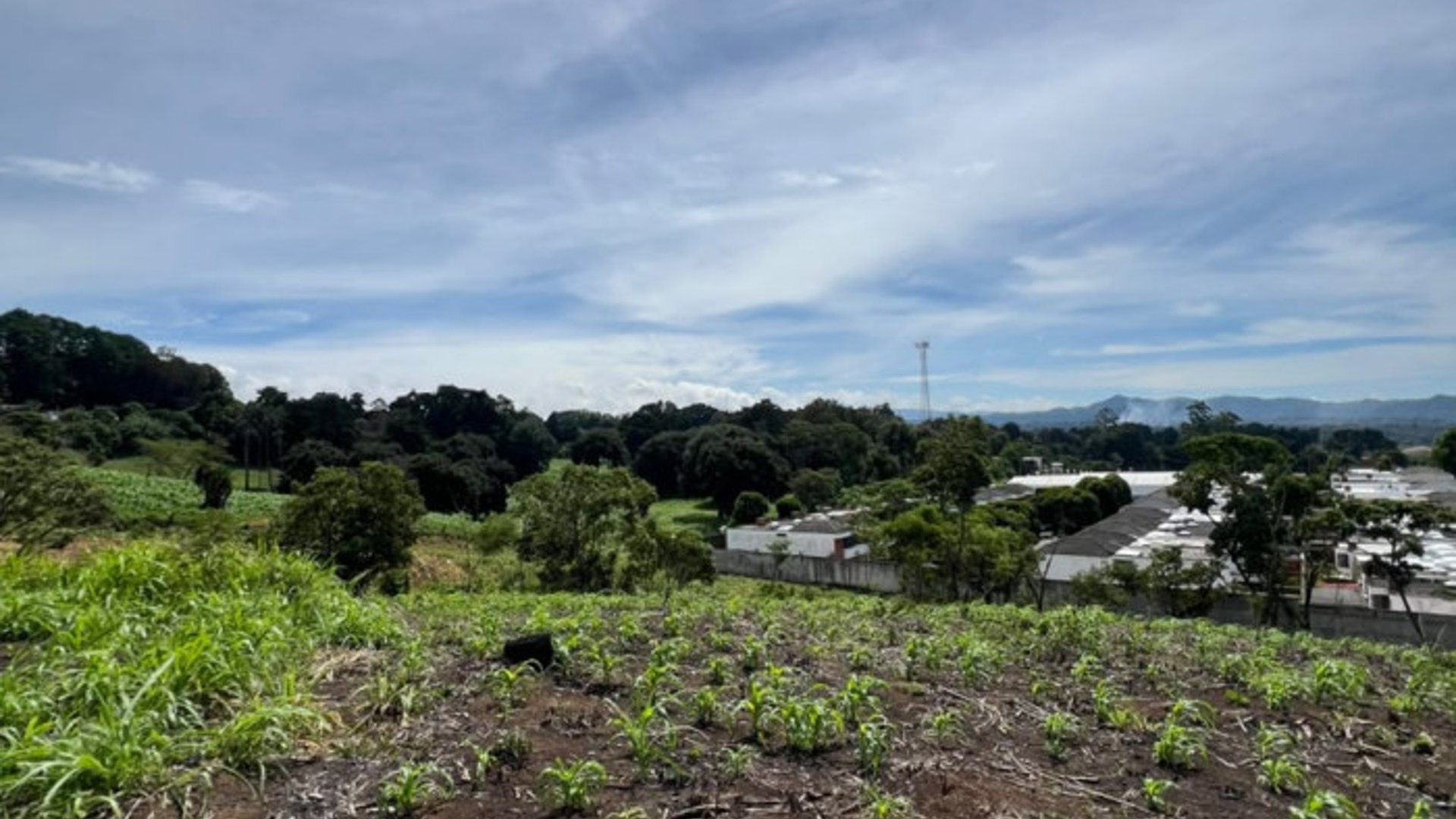 Terreno 12 Manzanas en Venta Carretera a El Salvador - Miniatura 10