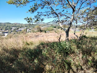 Terreno comercial sobre Carretera Cuilapa Santa Rosa - 3