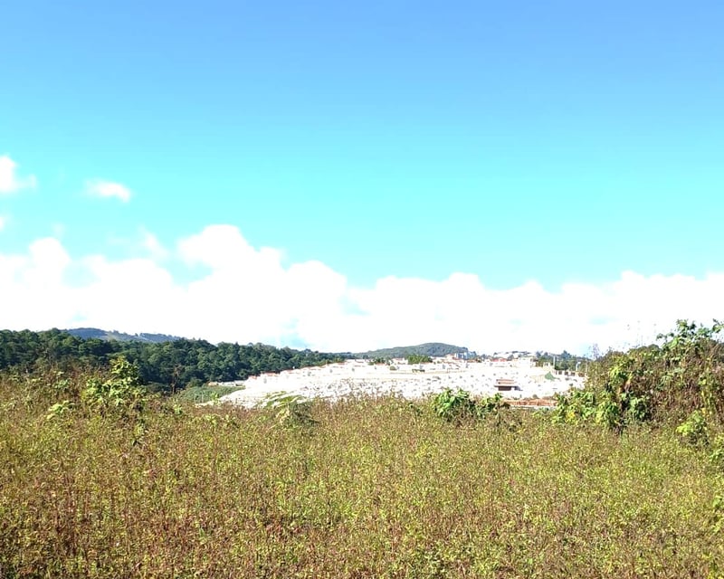 TERRENO EN VENTA EN LO DE DIEGUEZ - FINCA EL MAGUEY