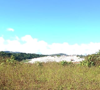 TERRENO EN VENTA EN LO DE DIEGUEZ - FINCA EL MAGUEY
