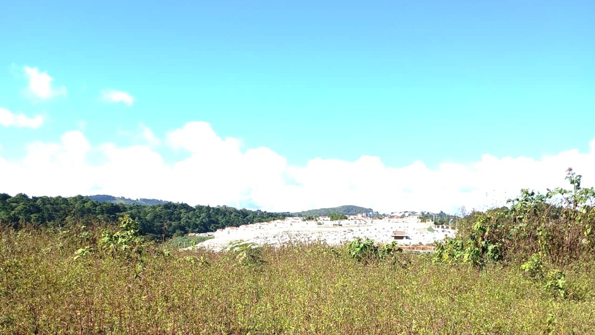 TERRENO EN VENTA EN LO DE DIEGUEZ - FINCA EL MAGUEY