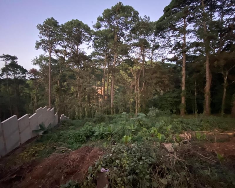 Terreno en Venta en Santa Rosalía