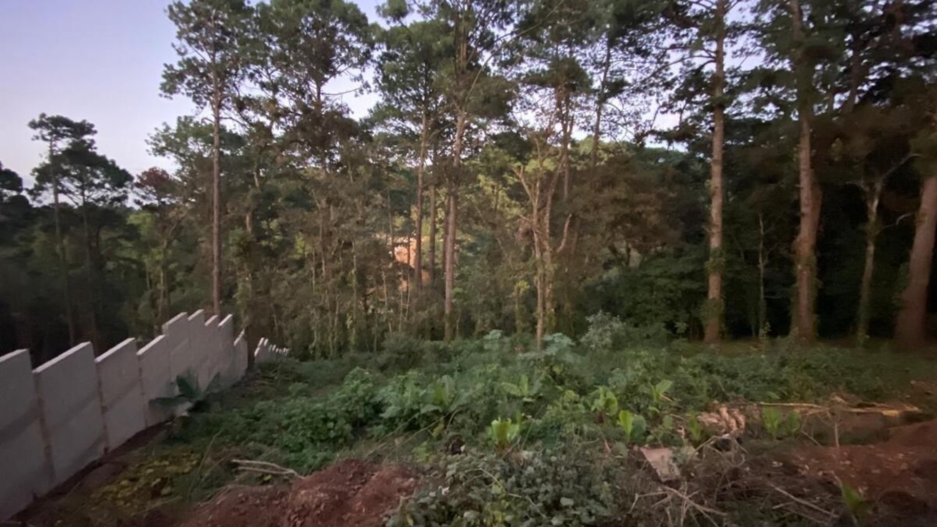 Terreno en Venta en Santa Rosalía