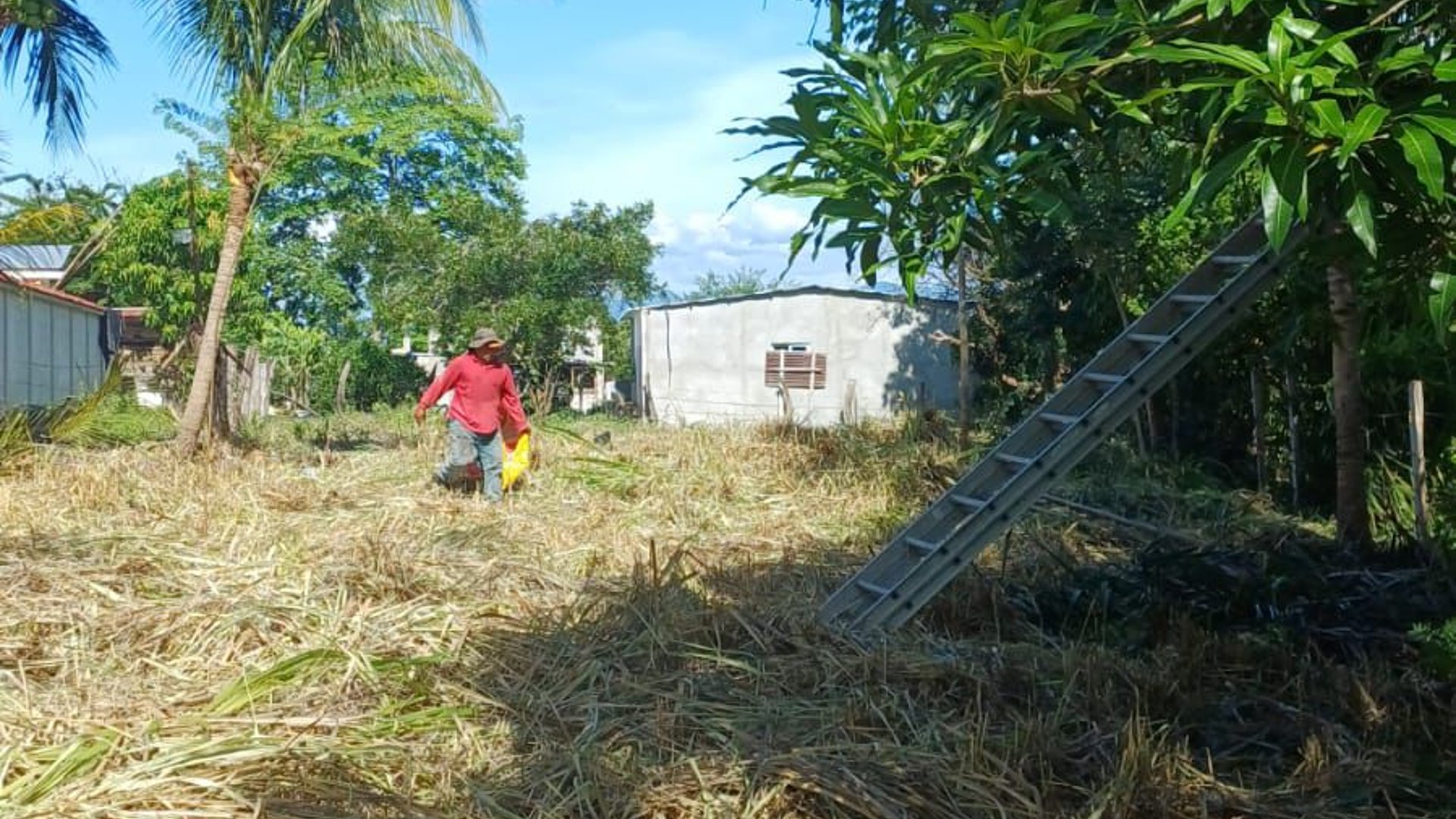 Terreno en venta en Aldea Juan Ponce Zacapa - Miniatura 4