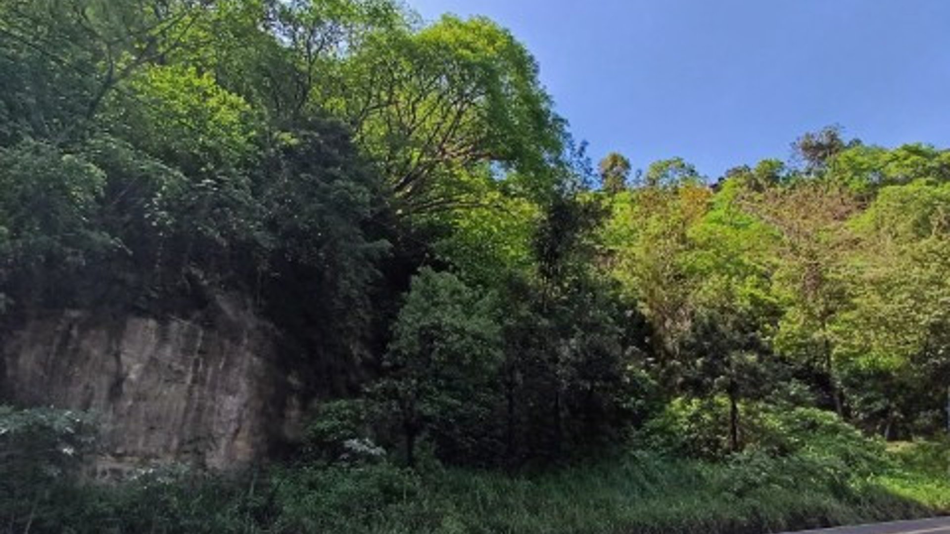 Terreno Comercial sobre Carretera Hacia Boca del Monte