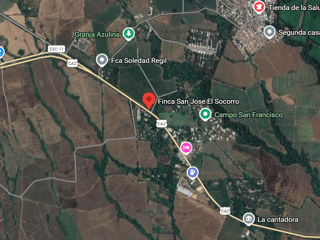 Terreno en renta en Escuintla | Finca San Jose El Socorro Km 78.5 Autopista Siquinalá - 5