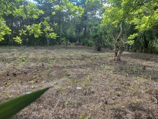 Terreno en venta Granjas Valle de Montebello/vas - 4