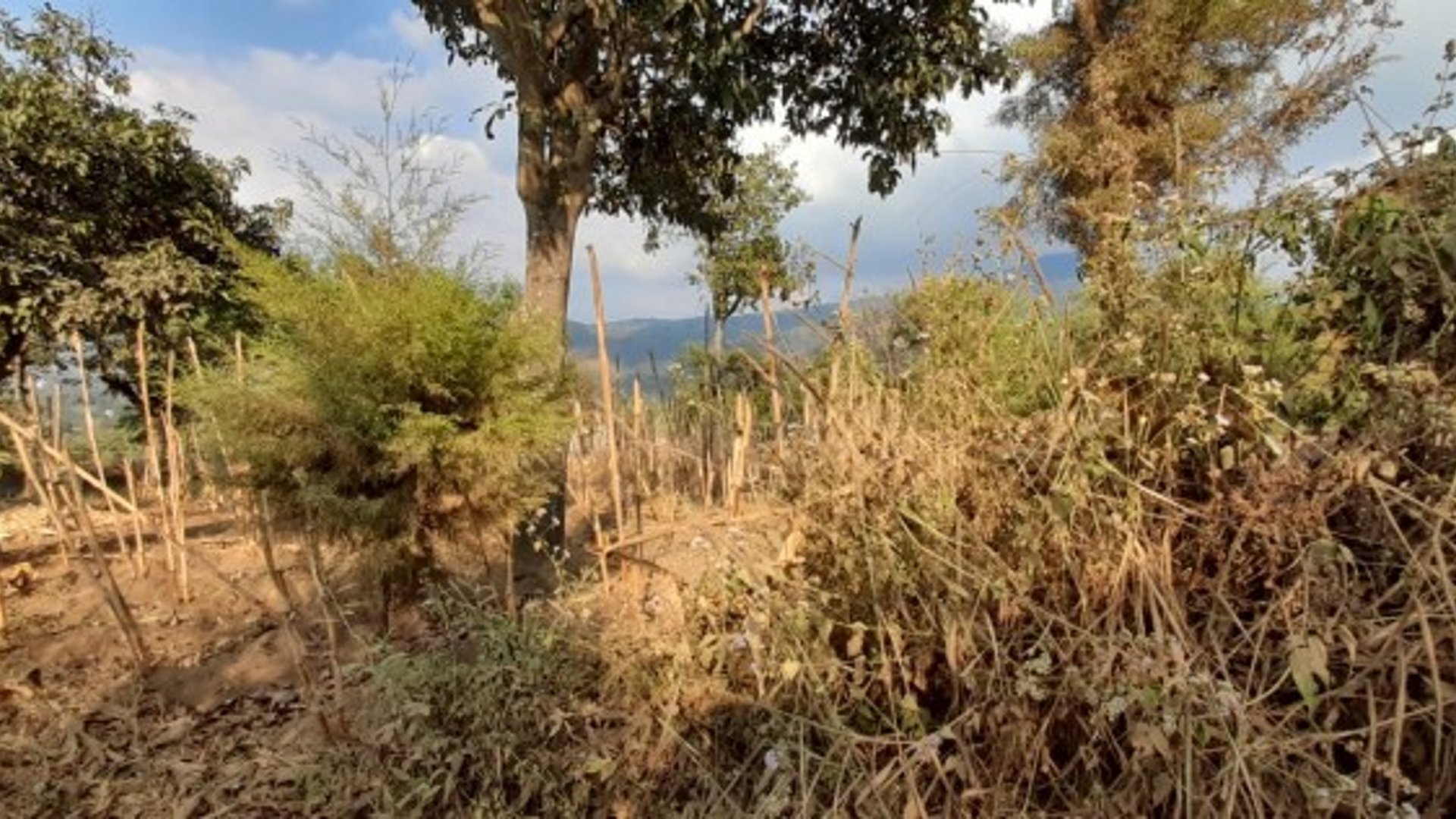 Citymax vende Finca Rustica en San Pedro las Huertas