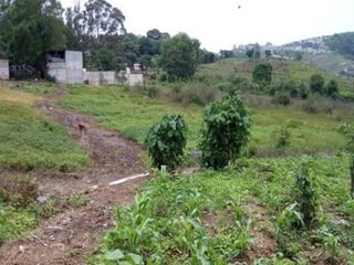 Vendo terreno ideal para desarrolladores en calle real, zona 18  - 2