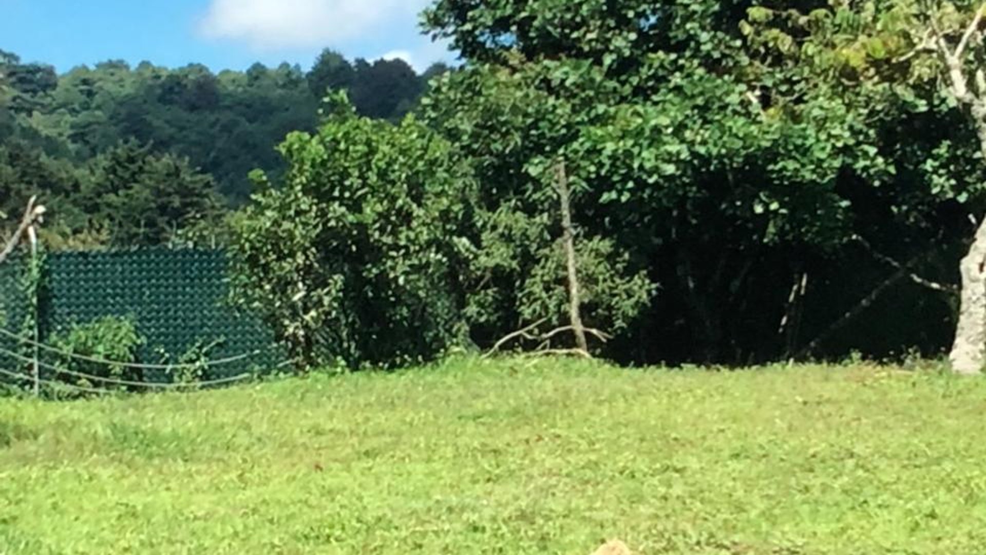 Granja en venta, Santa Catarina Pinula  - Miniatura 5