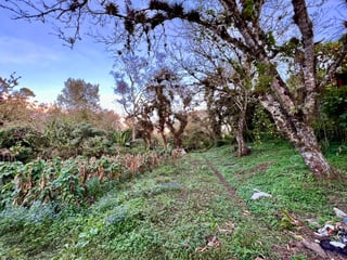 Terreno en venta, en Carretera al salvador - 4