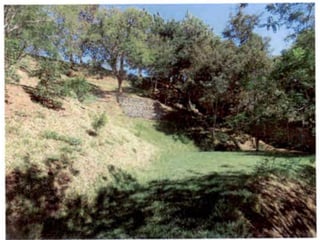 Terreno en Venta en Sausalito, Fraijanes. - 3