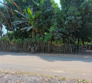 ALQUILO PREDIO EN EL PUERTO DE SAN JOSE, ESCUINTLA