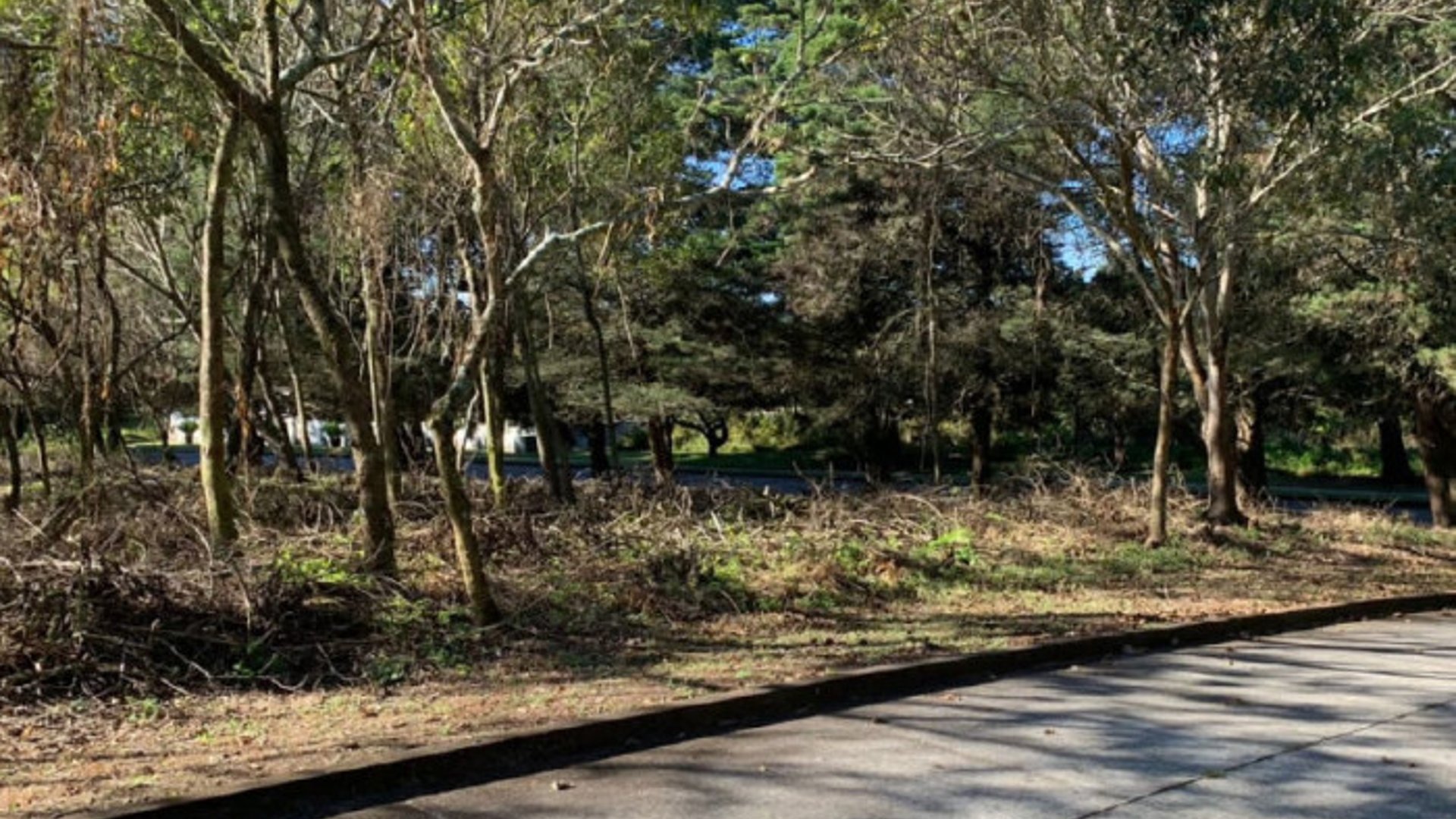 Venta terreno residencial Casa y Campo Carr. Salvador