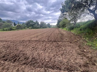 Finca en Venta de 8 Cuerdas en Quetzaltenango - 2