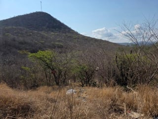 19 Manzanas en venta en El Progreso, Guastatoya  - 3