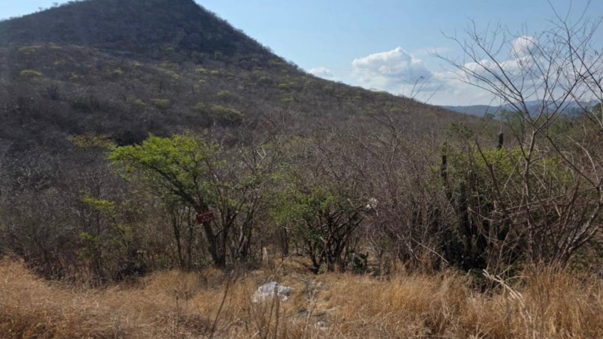 19 Manzanas en venta en El Progreso, Guastatoya  - Miniatura 3