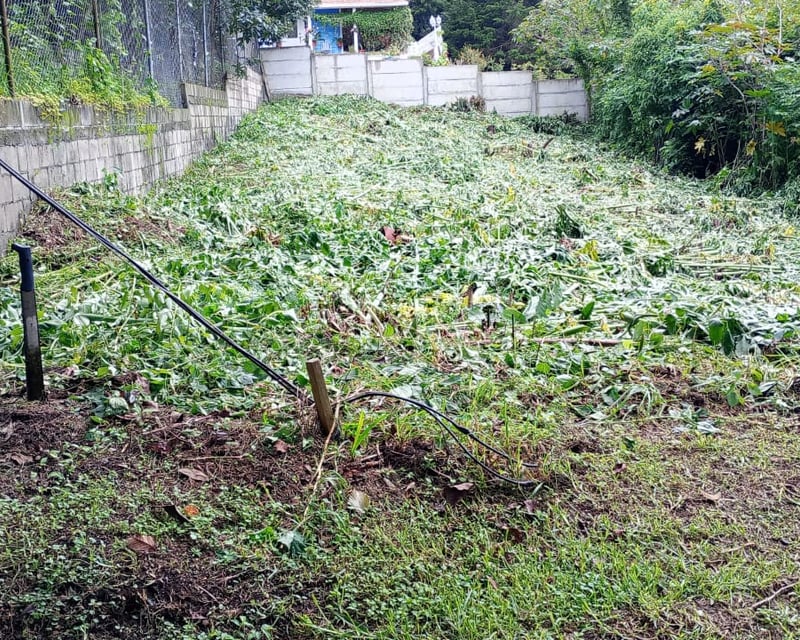 TERRENO EN VENTA – GUAJITOS, LOMA BLANCA | ZONA 21