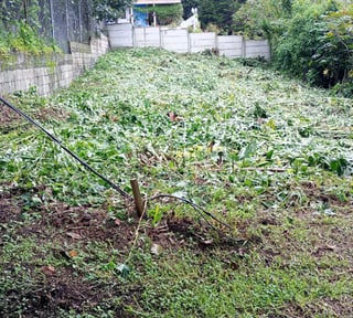TERRENO EN VENTA – GUAJITOS, LOMA BLANCA | ZONA 21