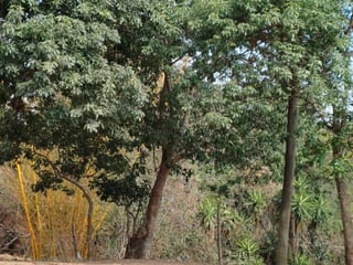 Terrenos en Venta, San Pedro Ayampuc - 5