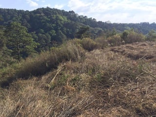 Terreno en Venta, zona 16. - 2