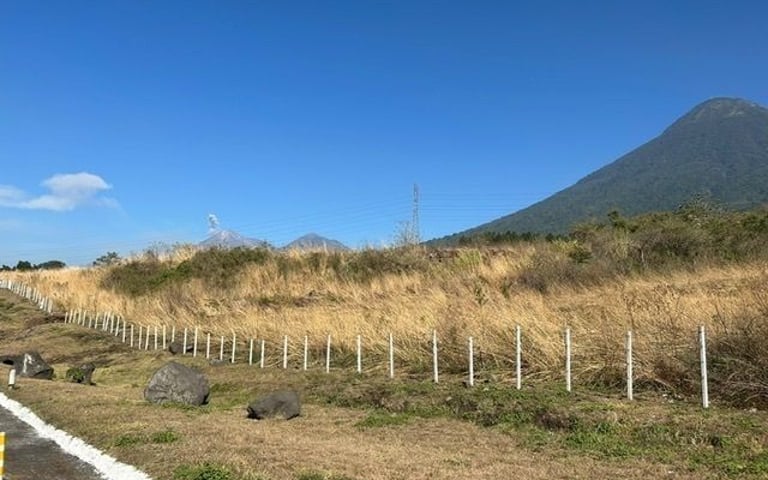 Terreno Autopista  Palin Escuintla para desarrollo Comercial y de bodegas - Miniatura 3