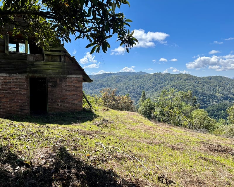 VENTA Finca Flor de Carmelo San José Pínula 