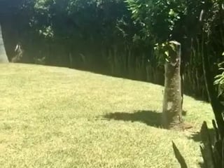 CASA EN RENTA COLONIAL EN LA CAÑADA, ZONA 14 - Image 3