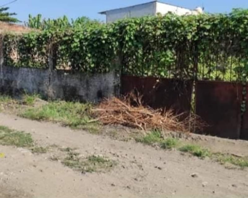 Terreno en venta tiquisate colonia 15 de junio