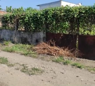 Terreno en venta tiquisate colonia 15 de junio
