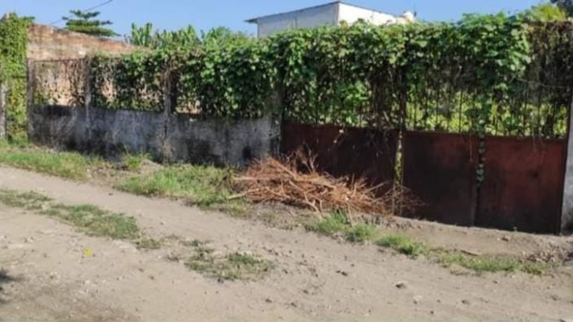 Terreno en venta tiquisate colonia 15 de junio