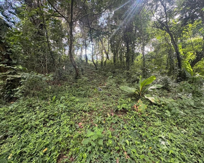 Land for Sale in Zona 16, Guatemala - 2500 v² - $412,500