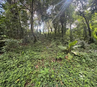 Land for Sale in Zona 16, Guatemala - 2500 v² - $412,500
