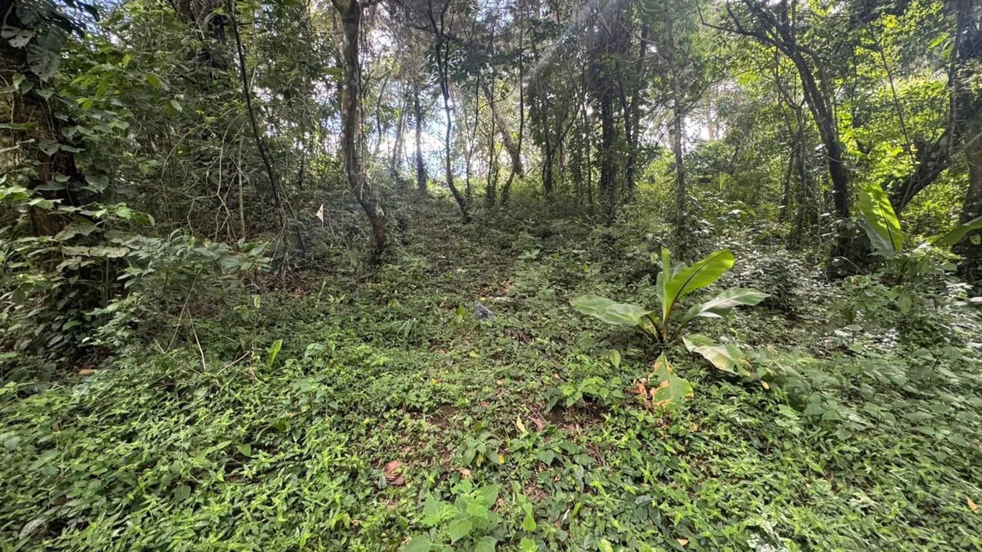 Land for Sale in Zona 16, Guatemala - 2500 v² - $412,500