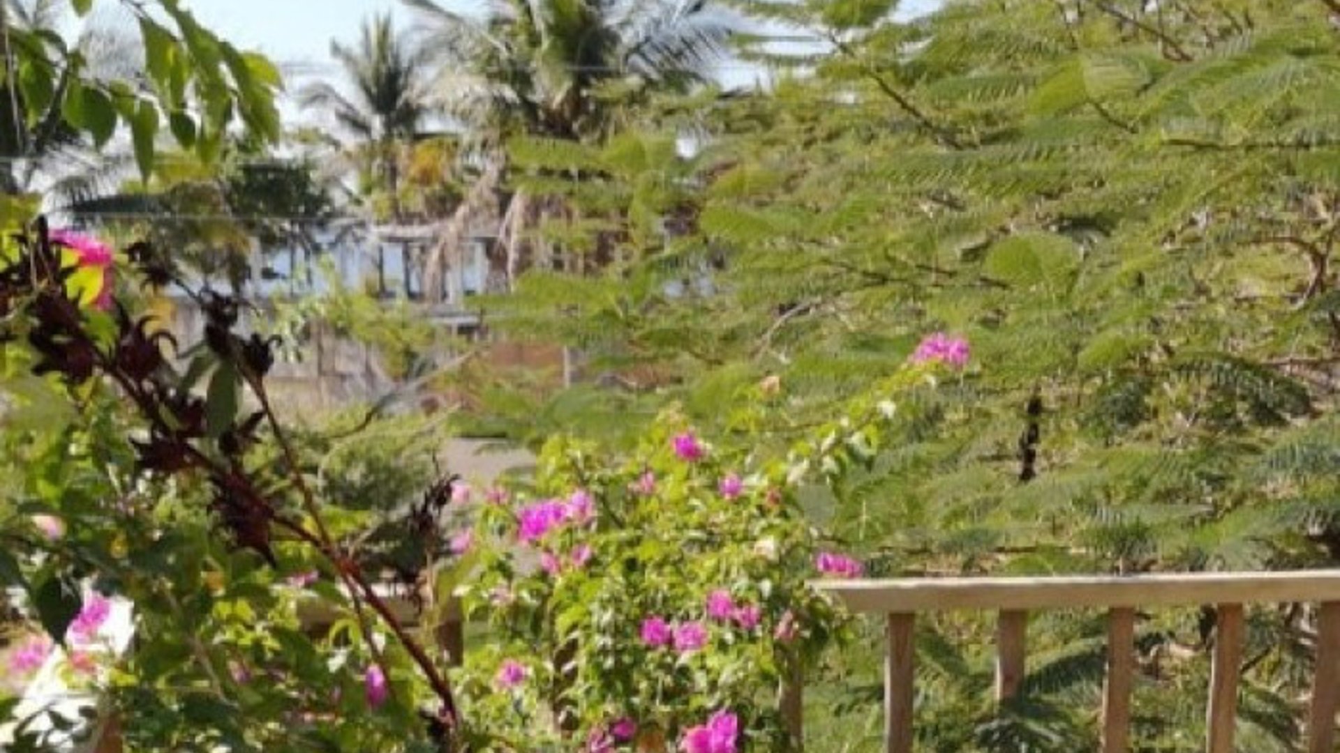 Casa en Venta Aldea el Hawai, Chiquimulilla, Santa Rosa - Miniatura 7