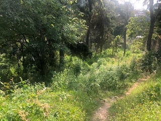 Terreno Muxbal, excelente ubicación sobre carretera - 5