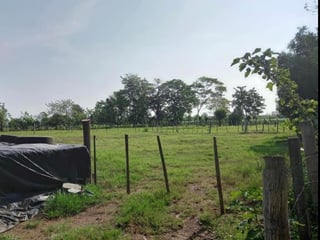 24 manzanas a la venta, Cuyuta Mazagua Escuintla.  - 3