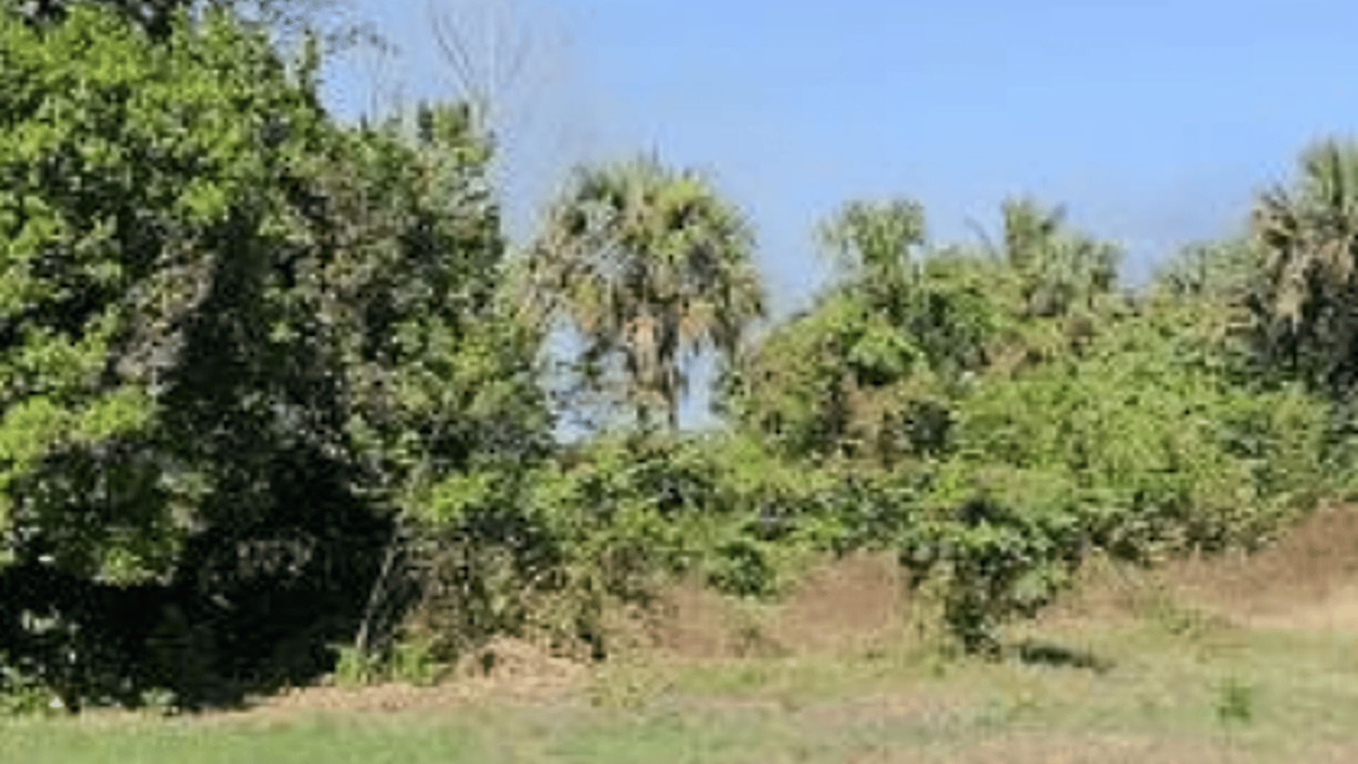Terreno en VENTA en las Lisas Chiquimulilla - Miniatura 4