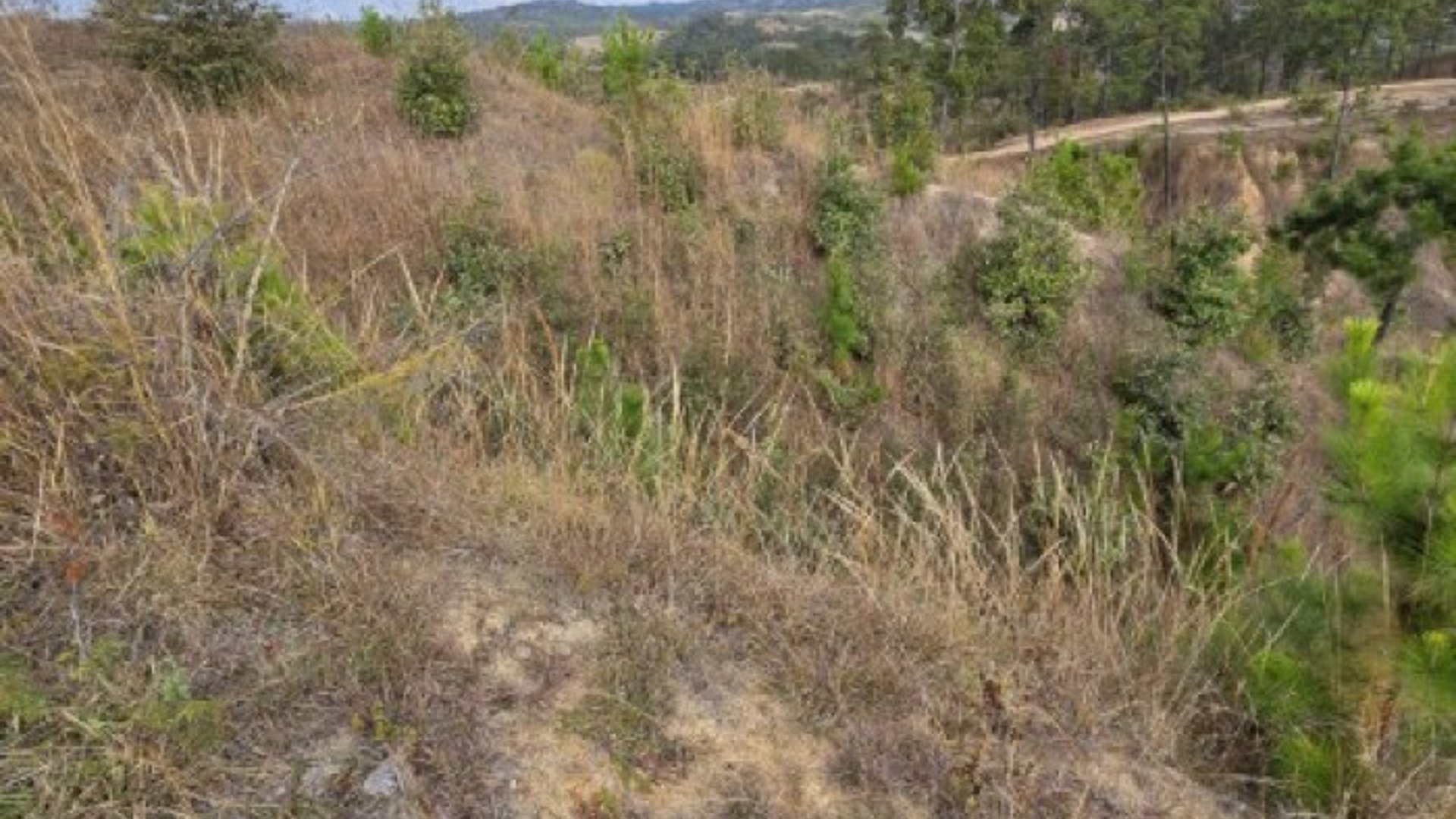Terreno en Venta San Pedro Sacatepéquez, Guatemala - Miniatura 7