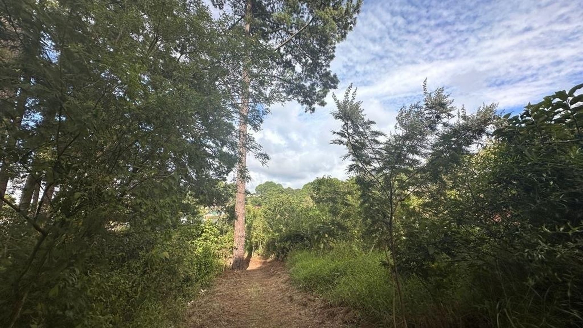 Terreno en venta para desarrollo en zona 16