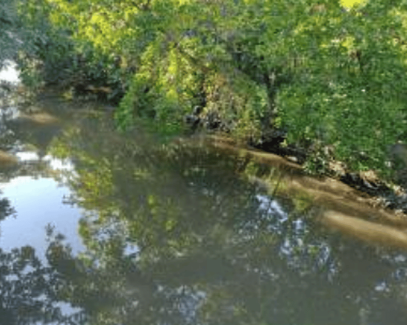 Terreno en VENTA en las Lisas Chiquimulilla