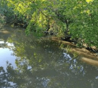 Terreno en VENTA en las Lisas Chiquimulilla