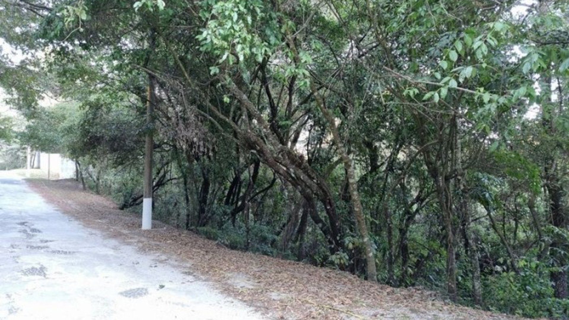Terreno en Venta en El Encinal, Zona 7 de Mixco - Miniatura 4