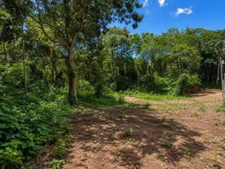 VENTA DE AMPLIO TERRENO - LAGUNA DEL PINO, BARBERENA - 2