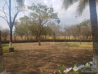 Vendo Finca de 8.8 mazanas en Oratorio, Santa Rosa - 2