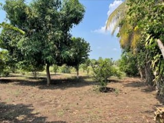 Terreno en Venta I Puerto San José - 2