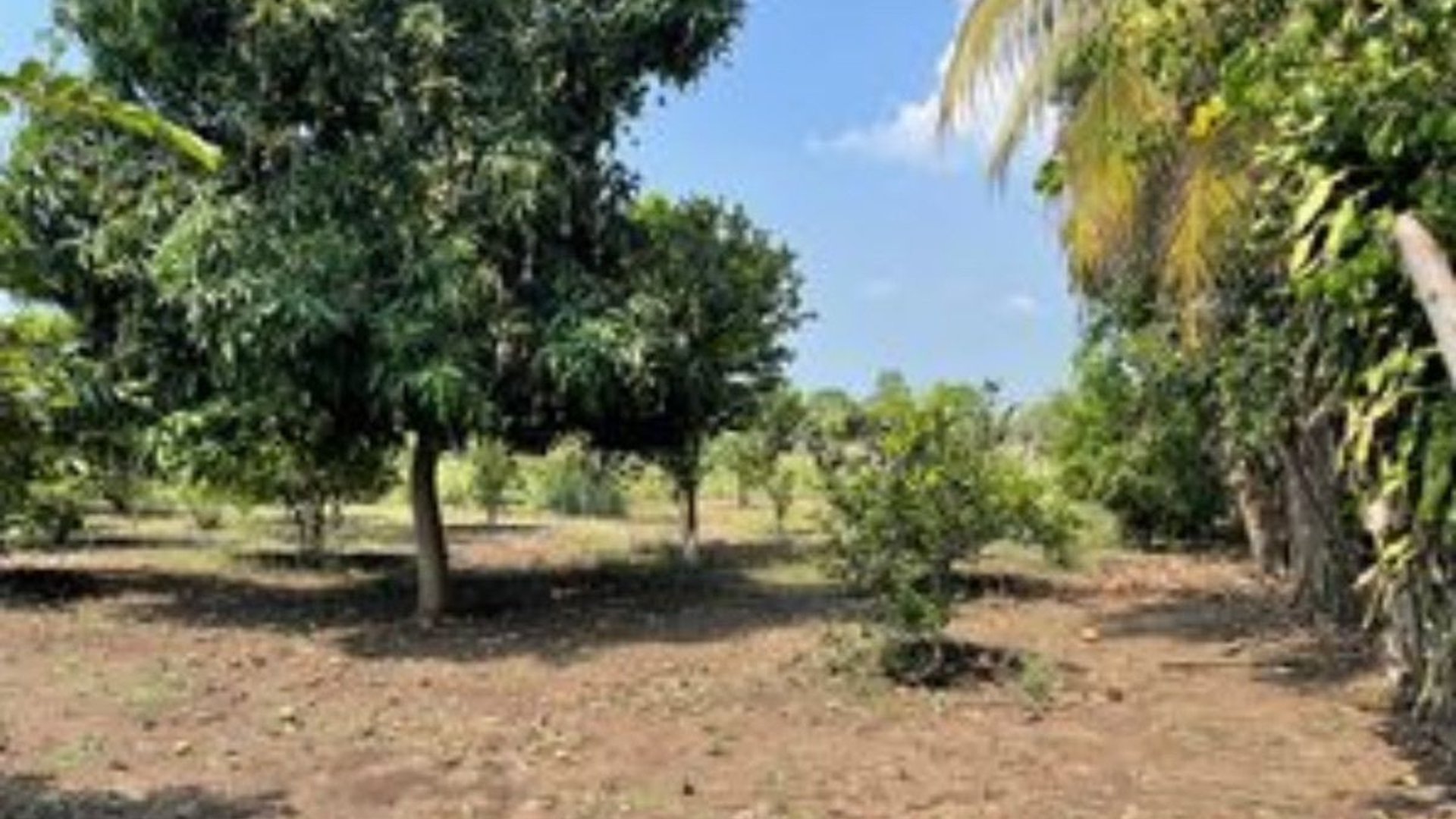 Terreno en Venta I Puerto San José - Miniatura 2